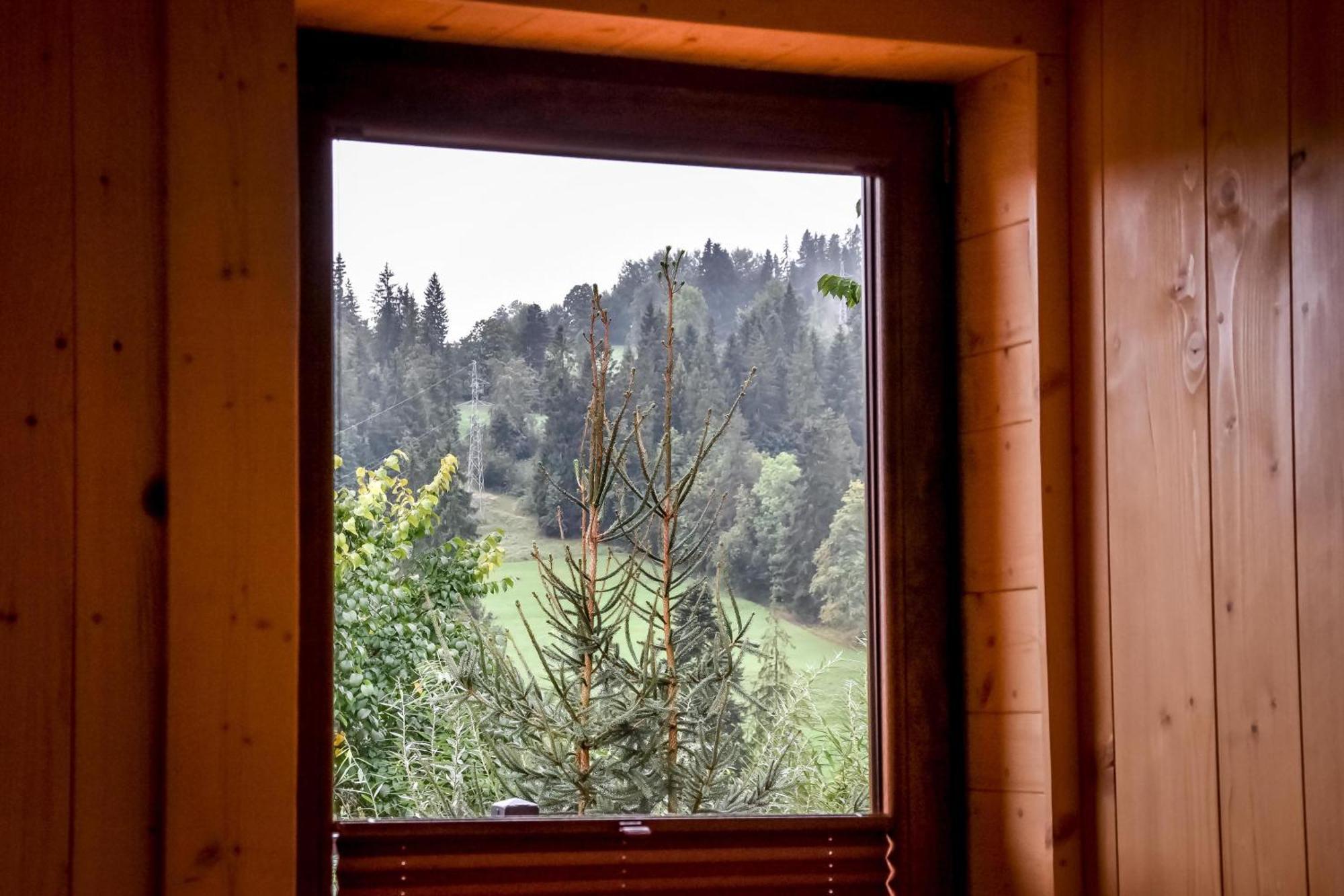 Domek Jatka No 1 Zakopane Exteriör bild